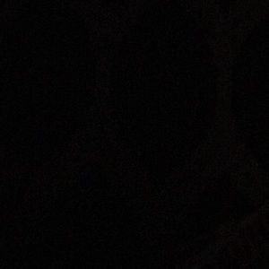 Meet your Posher, Roy